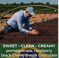 Brazil Fazenda Vila Boa Anaerobic Natural 6 oz $13.00