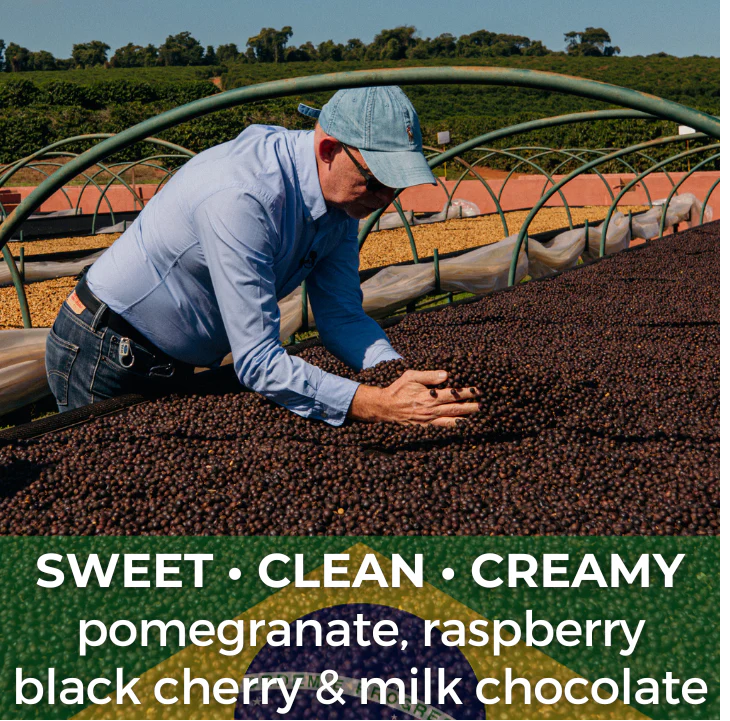 Brazil Fazenda Vila Boa Anaerobic Natural 6 oz $13.00