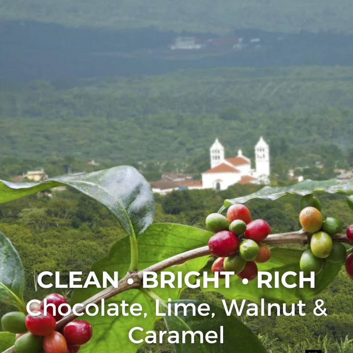 El Salvador Picacho Superior 6 oz $12.00