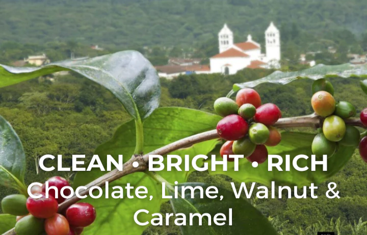 El Salvador Picacho Superior 6 oz $12.00