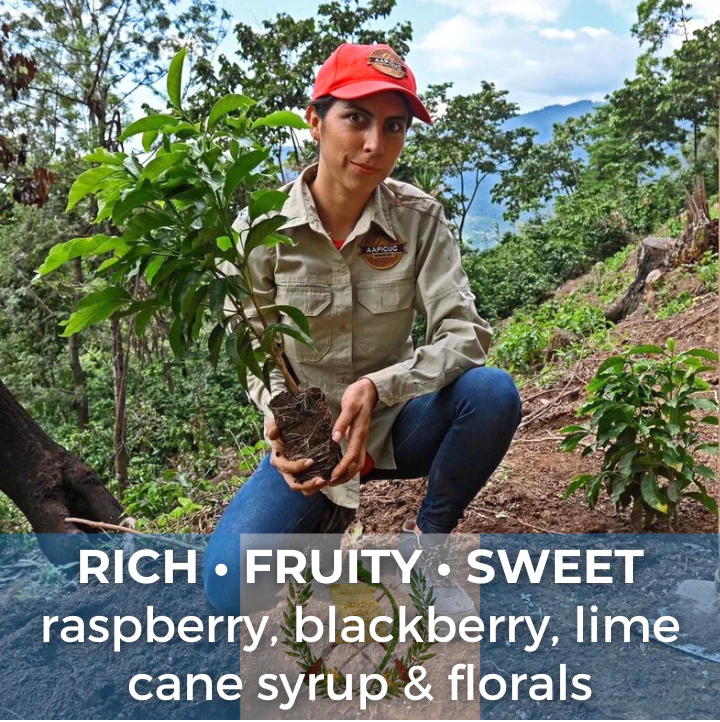 Guatemala Blue Ayarza Natural 6 oz $14.00