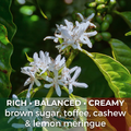 Mexico Veracruz Finca La Laja 6 oz $12.00